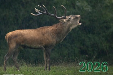 Wildtierkalender 2026